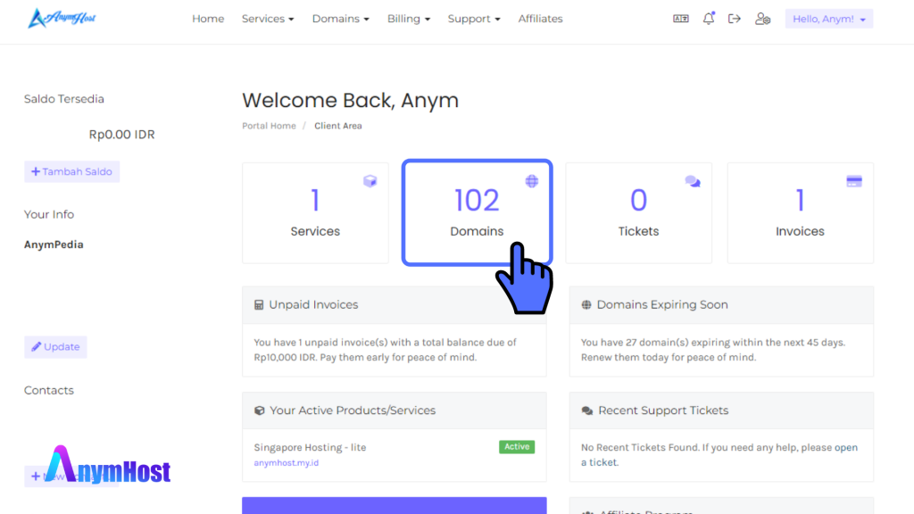 Cara Membuat Private Nameserver