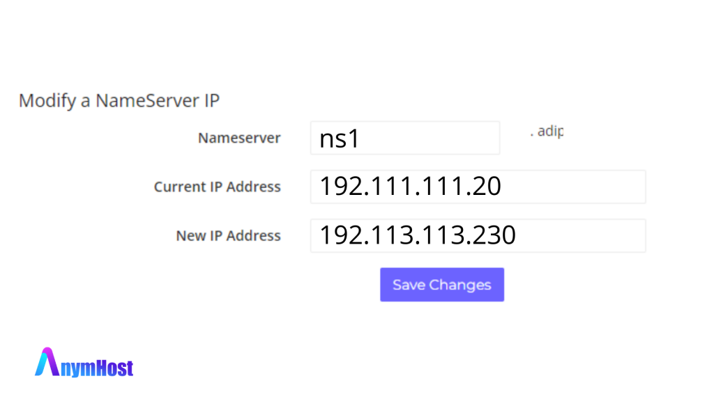 edit private nameserver IP